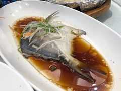 -七仙女渔港(奥邦广场店)