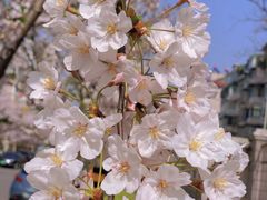 -永乐路-路侧停车场