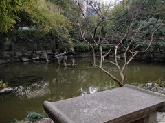-汇龙潭