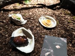 -曲廊院(东四十一条店)