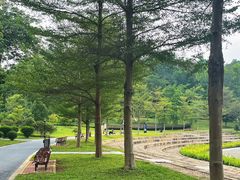 -东莞植物园