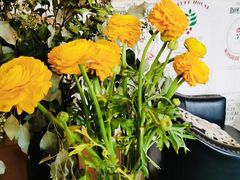 -陶野咖啡·面包披萨