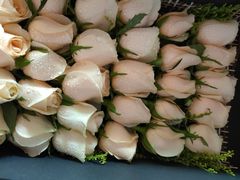 -玫瑰之约(花之语鲜花店)