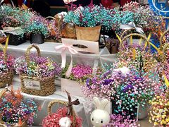 -重庆市江北嘴中央商务区中央公园