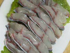 鲈鳗鱼-金砂阿洲鱼册店