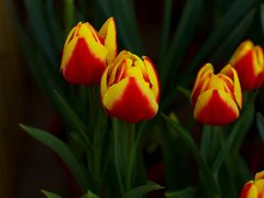 -共青国家森林公园-售票处