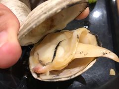 碳烤丹东白蚬子-烧货·活海鲜炭烧(湖滨商业街店)