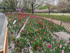 -白塘生态植物园