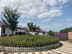 -嘉北郊野公园