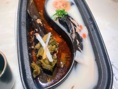 退秋鱼（一条）-锦府盐帮·李宅(领展购物广场中关村店)