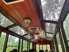 -合肥滨湖国家森林公园