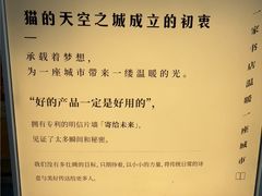 -猫的天空之城概念书店(大学路店)