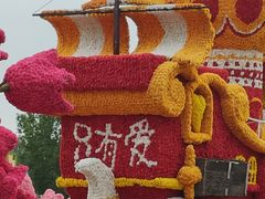 -荷兰花海