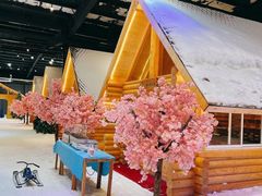 -宁波冰雪大世界(北仑区)