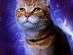 -百美汇影城(LUXE嘉里中心店)