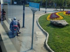 -前小桔亲子创意农场·草莓采摘·露营烧烤