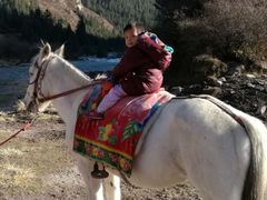 -山丹皇家马场