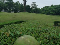 -美兰湖景区