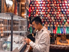 -more than meow吴止猫主题餐厅(承德 中船汇店)