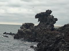 -龙头岩(Dragon Head Rock)