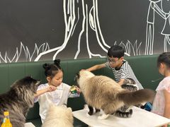 -安格丽娜·狗咖·猫咖羊驼咖(春熙路百盛商场店)