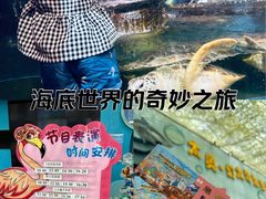 -太奥幻太奇海洋馆