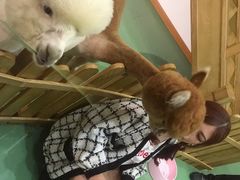 -藦茜花园宠物主题亲子互动体验馆(国顺东路店)