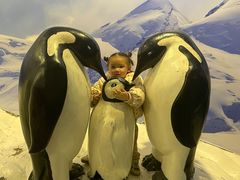 -上海海洋水族馆