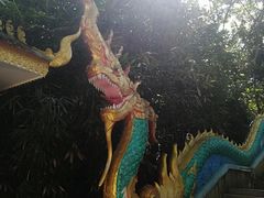 -西双版纳勐泐文化旅游区