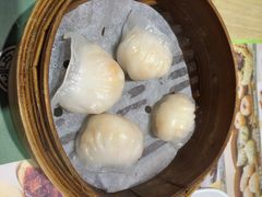 添好运点心专门店(北角店)-添好运点心专门店(北角店)