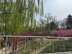 -元大都城垣遗址公园