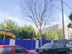 -劳动公园新疆人烤腰子