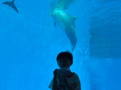-海合安成都极地海洋公园