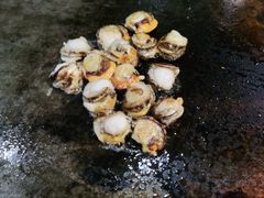 -福樱兰海鲜放题铁板烧(加州店)