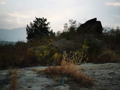 -白水寺森林公园