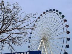-琴岛之星摩天轮