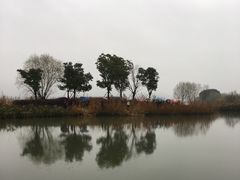 -长兴太湖图影湿地文化园