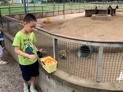 -前小桔亲子创意农场·草莓采摘·露营烧烤