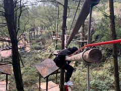 -梦幻奥陶纪景区