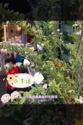 -MIDA蜜哒•科技逆龄美肤连锁