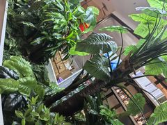 -悦海·家宴·冰花皮皮虾大锅贴(宝龙店)