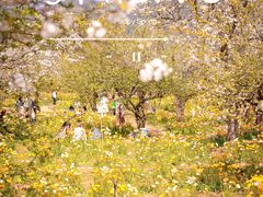 -名花谷生态庄园