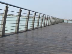 -滆湖低碳生态公园