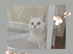 -昆山裕元花园酒店·温莎西餐厅