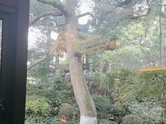 -浙江西子宾馆·瑶园咖啡厅