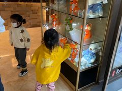 -常州环球恐龙城维景国际大酒店