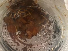 -老北京赵记酱肘子