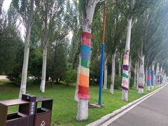 -乌素图国家森林公园