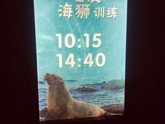 -芜湖新华联大白鲸海洋公园