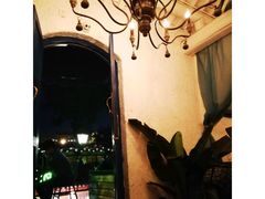 -Sirena海妖日咖夜酒